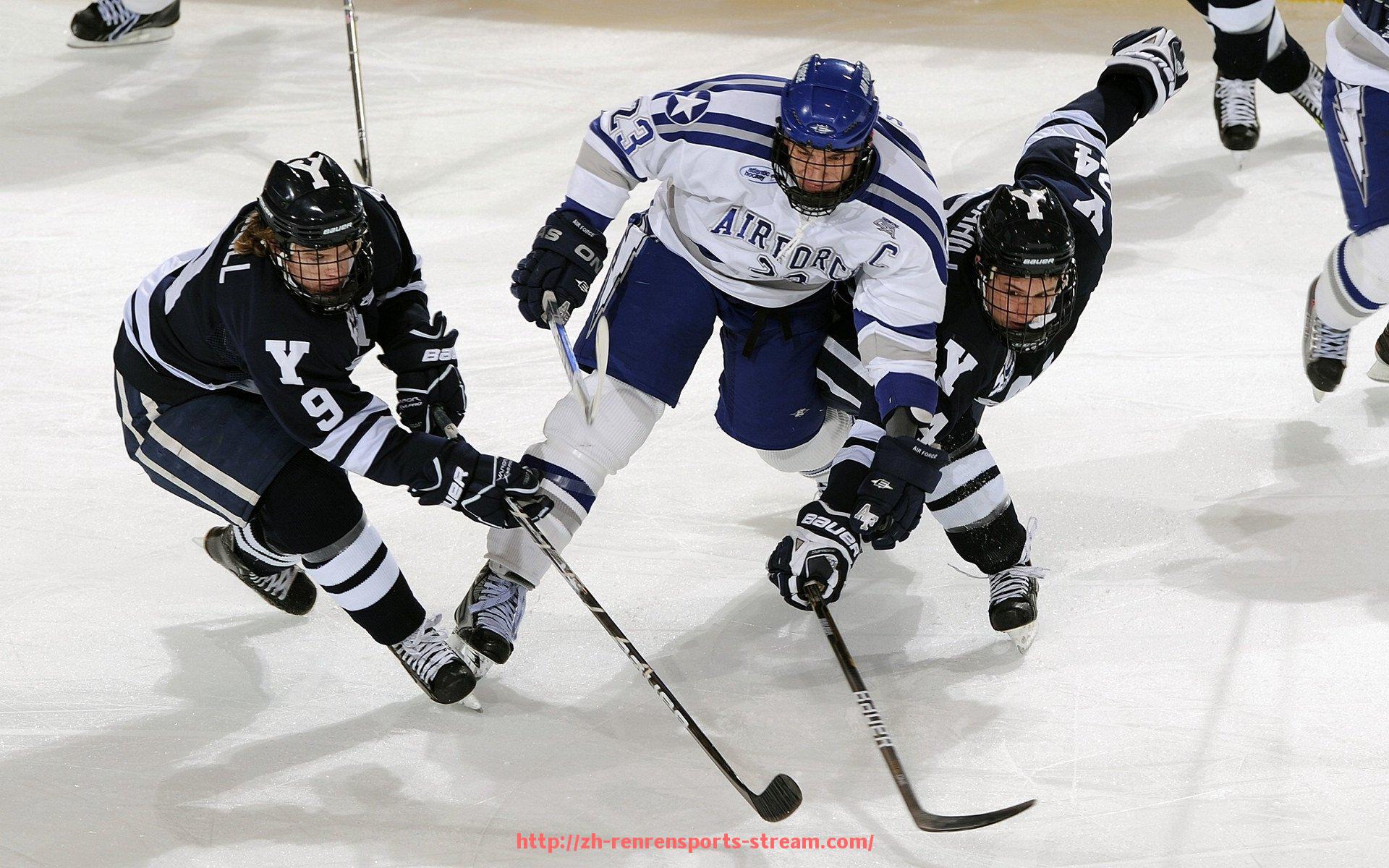人人体育直播-健身器材中拉背训练器的使用技巧